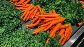 hojas verdes de zanahoria mostrador de fruta fresca madura en la tienda del mercado comida saludable comida dieta snack veggie vegano o comida vegetariana espacio de copia foto