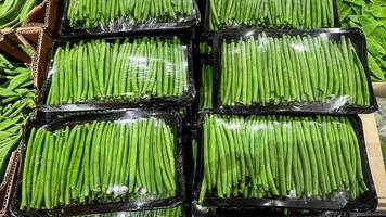 bean flat string flat-type bean pods fresh ripe fruit counter in the market shop healthy meal food diet snack veggie vegan or vegetarian food copy space photo