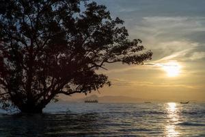 Sunrise in the cloudy sky in the morning with silhouette of big tree in foreground and many boats and ships floating on the sea with shadow of mountain with fog in background photo