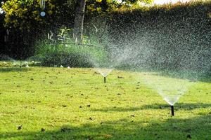 enfoque selectivo en el riego por aspersión alrededor del campo de hierba con fondo borroso del jardín al aire libre foto