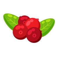 Red currant with green leaves. Cranberry berry. Healthy food vector