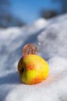 bitcoin in an apple in the snow close-up. photo