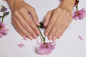 Fashion art skin care of hands and pink flowers in hands of women photo