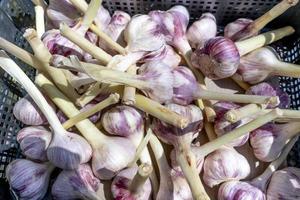 fresh garlic on the store counter close-up photo