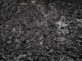 textura de fertilizante orgánico. tierra oscura. producción de agricultura foto