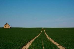 el camino a una casa solitaria en medio de un campo verde foto