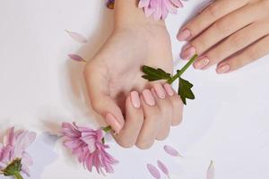 Fashion art skin care of hands and pink flowers in hands of women