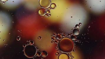 Abstract Colorful Food Oil Drops Bubbles and spheres Flowing on Water Surface, macro Videography
