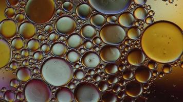 Abstract Colorful Food Oil Drops Bubbles and spheres Flowing on Water Surface, macro Videography video