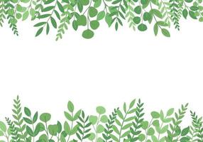 Decorative borders with foliage. Floral greeting card with place for text. Template for invitation card with forest leaves. Vector illustration