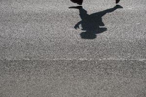 shadow of an unrecognizable runner on asphalt photo