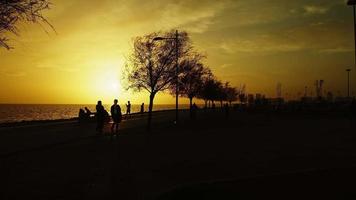 silhouette de personnes près de la mer au coucher du soleil video