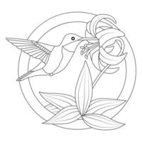 Harming bird coloring page Premium Vector