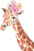 animal giraffe with a bouquet of flowers on his head, watercolor illustration vector