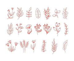 set of natural elements of leaves vector