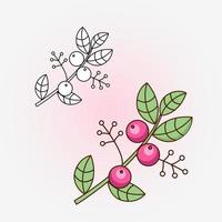 Drawing of  a branch with berries and leaves. Vector flat illustration.  Icon, sticker. Coloring page.