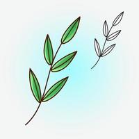 Vector drawing of a twig with leaves. Vector flat illustration.  Icon, sticker.  Cartoon illustration.  Coloring page.