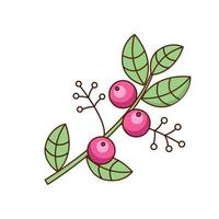 Drawing of  a branch with berries and leaves. Vector flat illustration.  Icon, sticker.