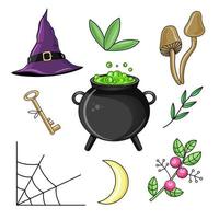 Cute Mystic  icon. Cartoon colorful Magical element collection. Kawaii astrology icons of door key, witch's cauldron, toadstools, grass, crescent moon, cobwebs, berries vector stuff.