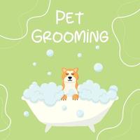 salón de belleza. banner para salón de belleza. ilustración vectorial en estilo de dibujos animados. lindo akita en un baño de burbujas. cuidado de mascotas.