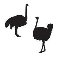 Ostrich Art Silhouette vector