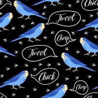 Vector seamless pattern with Budgerigars, bird footprints and quotes chirp, tweet, chick. Parrots illustration on black background