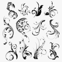 ilustraciones gráficas vectoriales de remolinos, swashes, colecciones de motivos ornamentados. plantilla de conjunto floral artístico vector