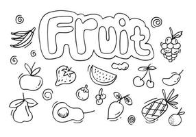 juego de frutas de fideos. dibujo a mano de frutas en diferentes estilos. vector