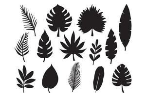 tropical leaf hand drawn vector