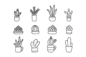 cactus plant vector collection in pot