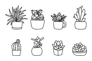 hand drawn cactus in pot isolated on white background. vector design collection