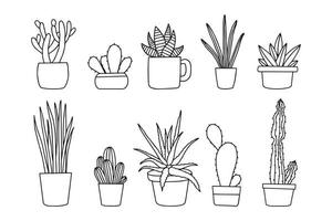 cactus plant vector collection in pot