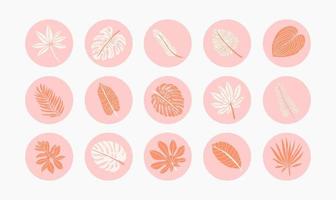 Colorful icons Summer Vacation Beach Tropical leaves set. Tropical vacation. Jungle foliage. Round summertime sticker, label collections, instagram highlights. Exotic tropical monstera, palm leaves vector