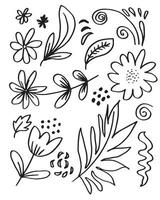 a collection of hand-drawn flower images such as bellflower, chrysanthemums, sunflowers, cotton flowers, and tropical leaves vector