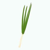Whole green onion isolated on background. Flat vector illustration.
