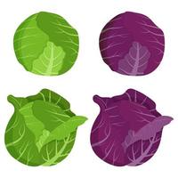 Set of cabbages isolated on white background. Flat vector illustration.