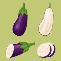 Set of eggplants isolated on white background. Flat vector illustration.