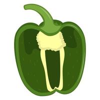 Half of cute green pepper isolated on white background. Flat vector illustration.