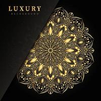 Luxury ornamental etnic design with mandala background vector