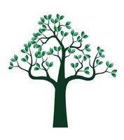 Green spring Tree. Vector Illustration.