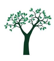 Green spring Tree. Vector Illustration.