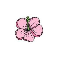 A simple icon of a tropical Hibiscus flower. A hand-drawn sketch of a bright flower in a doodle style. Tropics. Pink hibiscus. Isolated vector illustration