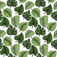 A seamless pattern depicting a tropical monster leaf. Leaves with doodles. Hand-drawn doodle-style elements, bright greens. Tropics. Monster. Exotic leaves. Isolated vector illustration