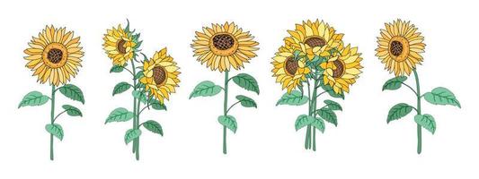 Sunflower element set Designed in doodle style, for decorations, cards, postcards, apparel patterns, printed fabrics, fashion, scrapbook, pillow designs, bags and more. vector