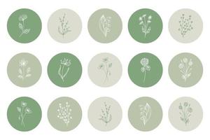 Floral icons set, white outline flowers in green round shapes. Highlights for social networks, decorative elements
