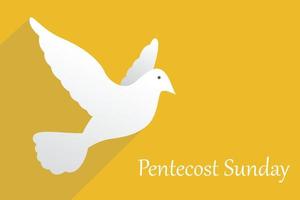 Pentecost Sunday background with flying dove vector