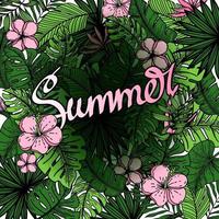 Background with Summer, handwritten lettering, decorated with strelitia flower, tropical palm leaves, monster and hand-drawn carrot elements. Summer, tropical. Vector illustration