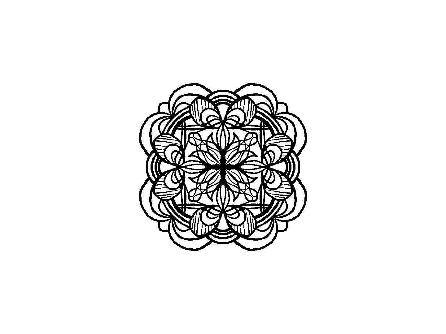 black and white mandala ornament hand drawn drawing process video ...