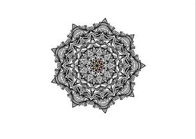 mandala ornament coloring - outline and colored rainbow video