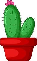 Cactus in a pot isolated vector